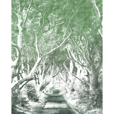 Komar Vliesová fototapeta Alley Graphite rozměry 200 x 250 cm