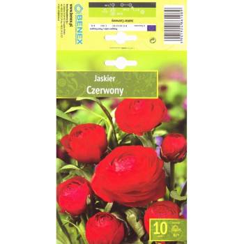 Seklos Лютиче Червено Ranunculus Red - 10 бр луковици