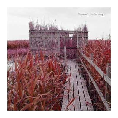 Tenniscoats - Tan-tan Therapy LP