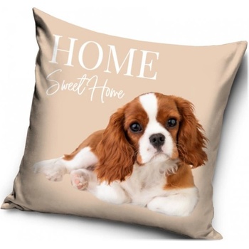 Carbotex Kavalier King Charles španiel 40 x 40 cm