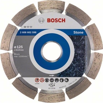 BOSCH Standard for Stone 125×22,23×1,6×10 mm