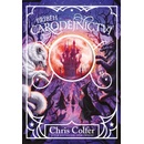 Příběh čarodějnictví - Chris Colfer, Chris Colfer ilustrátor