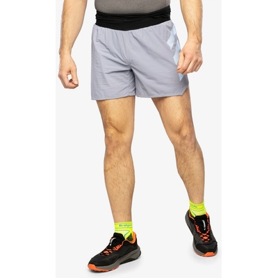 adidas TERREX Agravic Pro Trail Running Shorts silver violet