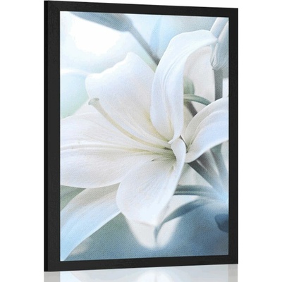 Plakát bílý květ lilie na abstraktním pozadí - 20x30 black