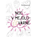 Noc v Mejdlovarně
