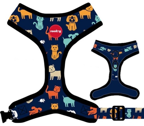 Reedog postroj DOG & CAT