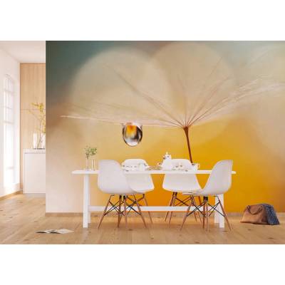 AG design FTNXXL-3020 vliesová fototapeta Morning Drop rozměry 360 x 270 cm