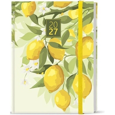 Prokop Lamino B6 Týdenní 2027 Citron