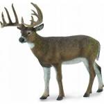 CollectA White-Tailed Deer Figure