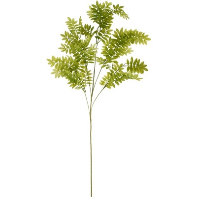 ZELEŇ PAPRAĎ DROB. LÍSTKY ZELENÉ 104CM