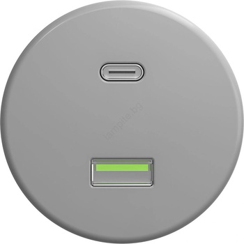Image 1 of Reblig - Ретро USB контакт A+C без рамка, сив (RG0087)