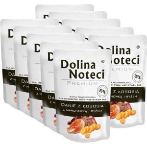 Dolina Noteci Premium Salmon Stew with Carrot and Brown Rice 10 x 300 г