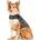 ThunderShirt Bunda