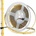 Eco Light EC61572