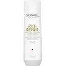 Šampóny Goldwell Dualsenses Rich Repair Rich Repair Shampoo 250 ml