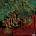 Lamb Of God - Ashes Of The Wake (CD) (5099751793328)