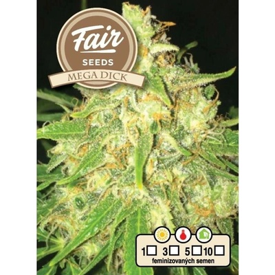 Fair Seeds Mega Dick semena neobsahují THC 10 ks