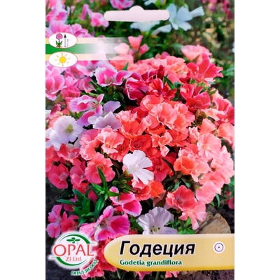 Opal Zi Годеция Микс Godetia grandiflora