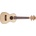 Prodipe Guitars BC25