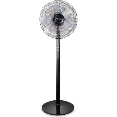 Argo Standy Evo Black 398200033