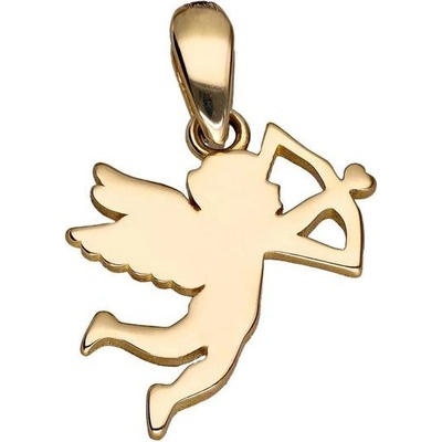 Zlaton Přívěsek žluté zlato 000502305245