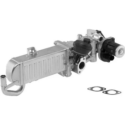 BorgWarner AGR modul OE-Version/Genuine BGW 710861D