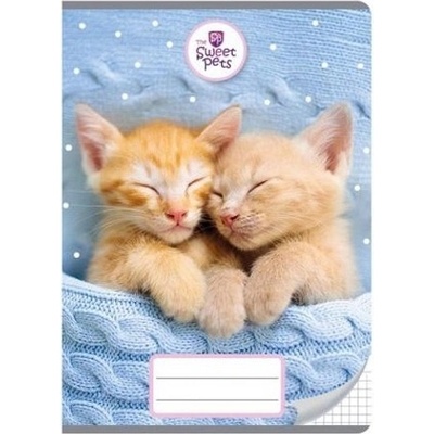 BENIAMIN ŠKOLNÍ SEŠIT A5 SWEET PETS KOČKY čtverečkovaný