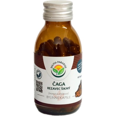 Salvia Paradise Čaga - rezavec šikmý kapsle 60 ks