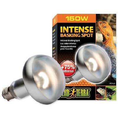 Hagen žiarovka Exo Terra Intense Basking Spot 150W
