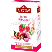 Hyson bylinný Rooibos čaj Berry Luscious 20 ks