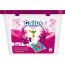 Gallus 3v1 Kapsuly na pranie 30 PD