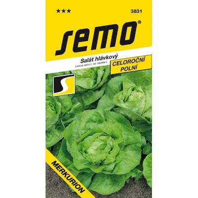 SEMO Salát hlávkový Merkurion
