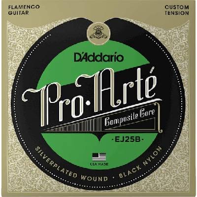 D'Addario EJ25B