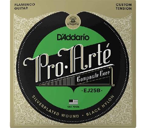D'Addario EJ25B