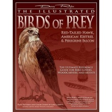 The Illustrated Birds of Prey: Red-Tailed Hawk, American Kestrel & Peregrine Falcon: The Ultimate Reference Guide for Bird Lovers, Woodcarvers, and Ar