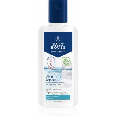Salt House Dead Sea Therapy Anti-grease Shampoo 250 ml