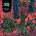 Diskord - Bipolarities NUM LP
