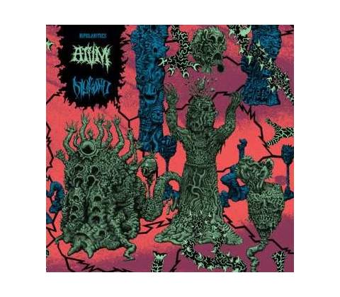 Diskord - Bipolarities NUM LP