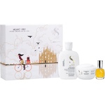 ALFAPARF Milano Semi di Lino Diamond Holiday Kit подаръчен комплект за блясък и мекота на косата