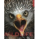 Wildlife