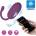 Pretty Love Doreen Vibrating Egg Global Remote Control Series Purple