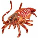 BEPPE Lobster 33cm