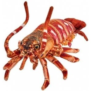 BEPPE Lobster 33cm