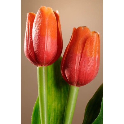 Paramit Umělý tulipán tmavě červeno oranžový 40 cm
