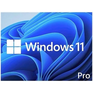 Microsoft Операционна система Microsoft Windows 11 Pro, 64-bit, English, DSP/OEM, DVD (FS-SOFT-MS-FQC-10528)