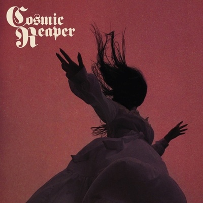 Cosmic Reaper - Bleed the Wicked, Drown the Damned (Limited Edition) (Grey & Black Marbled Coloured) (LP) (0694685737377)