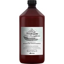 Davines NATURALTECH Detoxifying šampon pro hloubkové čištění atonické pokožky 1000 ml