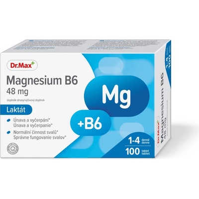 Dr. Max Magnesium B6 48 mg Lactate 100 tablet