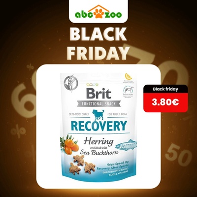 Brit snack Recovery herring & sea buckthorn 150 g