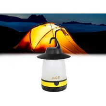 FCL01 Nedes